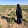 meshal332012@مشعل الحربي 的头像