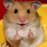 Profilbild von hamsterinapeacoat