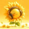 Boer profil fotoğrafı