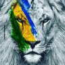 Dna Milú 2.0 🇧🇷🌻🐸 的头像