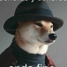 Фото профиля Mr Doge