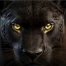 black panther profil fotoğrafı