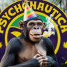 Profilbild von Stoned Ape X Machine Elves PHD