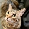 Фото профиля アカリ