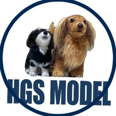 HGS model's profile picture
