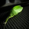 Фото профиля parabellum9