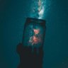 たか profil fotoğrafı