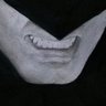 MorphedMontesinos's profile picture