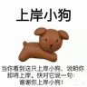 zzzz's profile picture