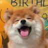 嗯开心下~^_^ 的头像