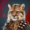 Profilbild von Cougbacca