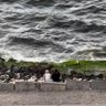 Фото профиля Rab’a 🌊