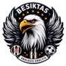 Profilbild von Beşiktaş Analiz