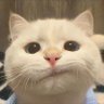 Profilbild von 李蔓曦