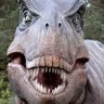 super scary t rex 的头像