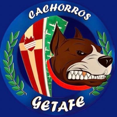 Cachorros GTF's profile picture
