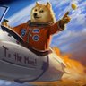 Boss's profile picture