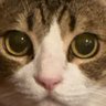な profil fotoğrafı