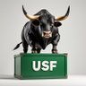 USF Soapbox's profile picture