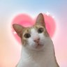 A.tia.dos.gatos profil fotoğrafı