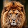 Jan Vanderveer's profile picture