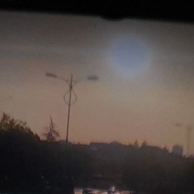 masal5_masal's profile picture