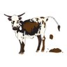 Vaca-H's profile picture