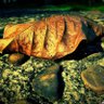 Фото профиля rbsqujia