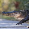 Profilbild von PassingByAlligator