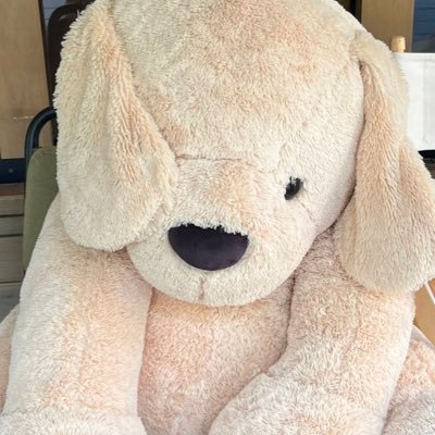 pleasedplease_'s profile picture