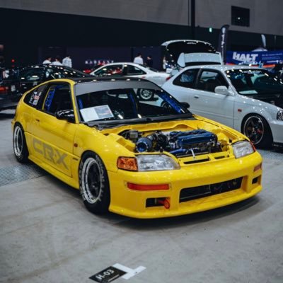 う す い's profile picture