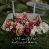 مُطمئنه's profile picture