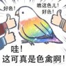 狗吃咸了掉毛🍕 profil fotoğrafı