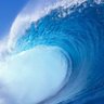 Blue Wave's profile picture