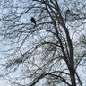 Фото профиля Free#thought