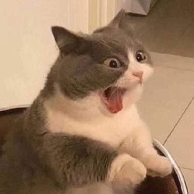 memecasm14's profile picture