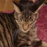 zuka profil fotoğrafı