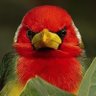SamSam's profile picture