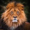 Profilbild von KereM