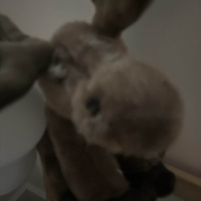 Boat's profile picture