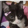 Isabel profil fotoğrafı