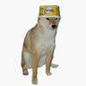 Doggo's profile picture