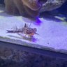 ちよぞう 的头像