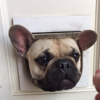Grizzlam's profile picture