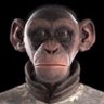 Dustin's profile picture