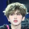 xๅฐ่ต's profile picture