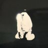 lefthand3rings's profile picture