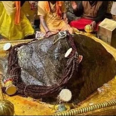 NaveenHindu16's profile picture