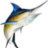 Hibaru Kurusee's profile picture