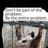 Bucephalus's profile picture
